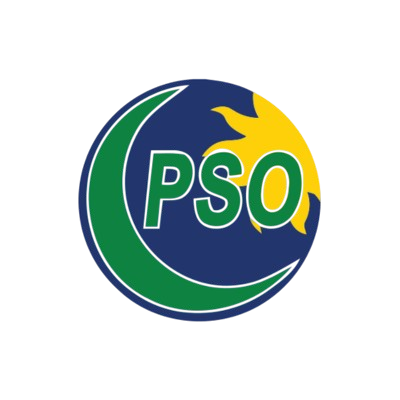 pso-removebg-preview